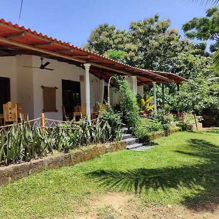 Villa Lyvie Ayurvedic Hotel Tangalle Bagian luar foto